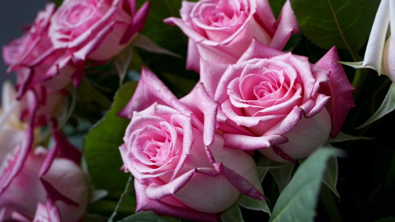 Close-up of a Bouquet of Pink and White Roses