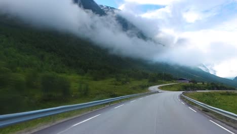 Driving-a-Car-on-a-Road-in-Norway.-Cows-blocked-the-way-for-traffic.