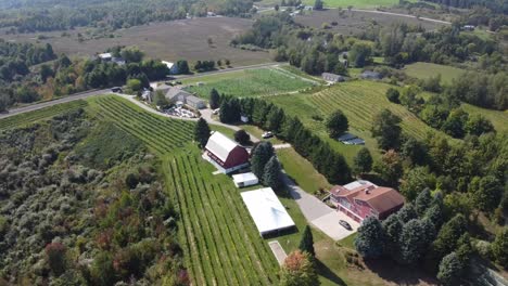 Aerial-wide-shot-of-farmlands-in-the-summer-time