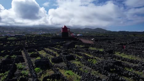 paisagem da cultura da vinha da ilha do pico