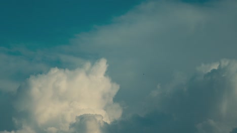 a beautiful scenic shot of a flying birds under a big white cloud in the blue sky, israel middle east, close up shot, sony mirrorless camera, 4k video