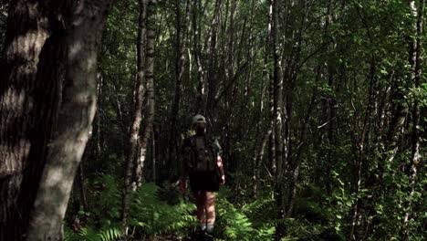 lone woman hiker walking through shaggy woodland in norway. - backview shot