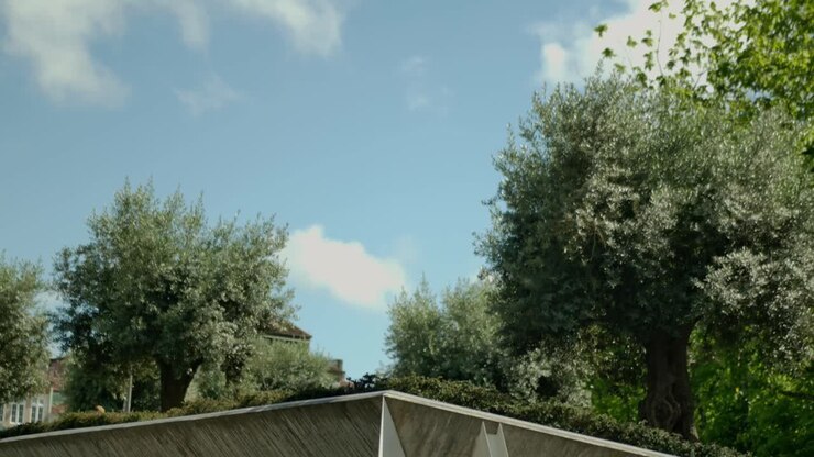 Some trees in a park on top of a town construction