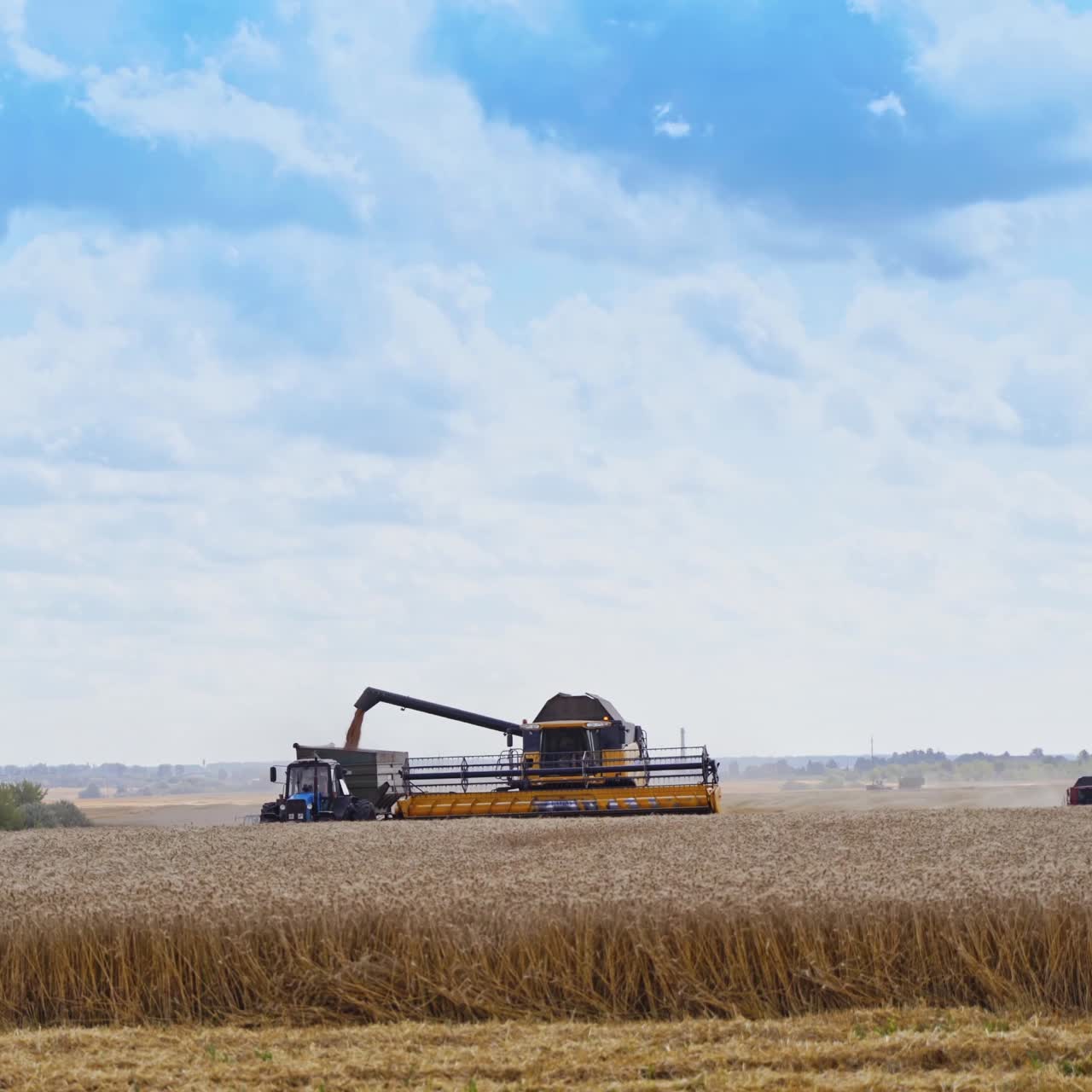 Panoramic view of the field with agricultural machinery. Harvesting ripe wheat. Combine harvester is unloading grains into tractor trailer.