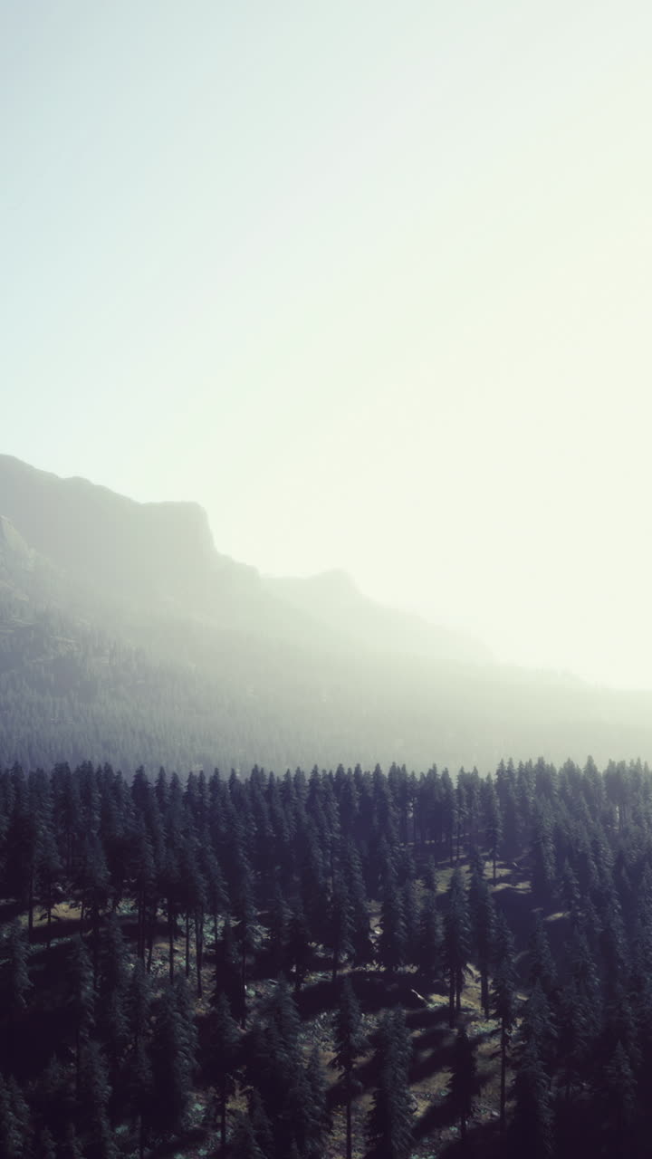 Majestic mountains rise above a tranquil forest at dawn in serene surroundings