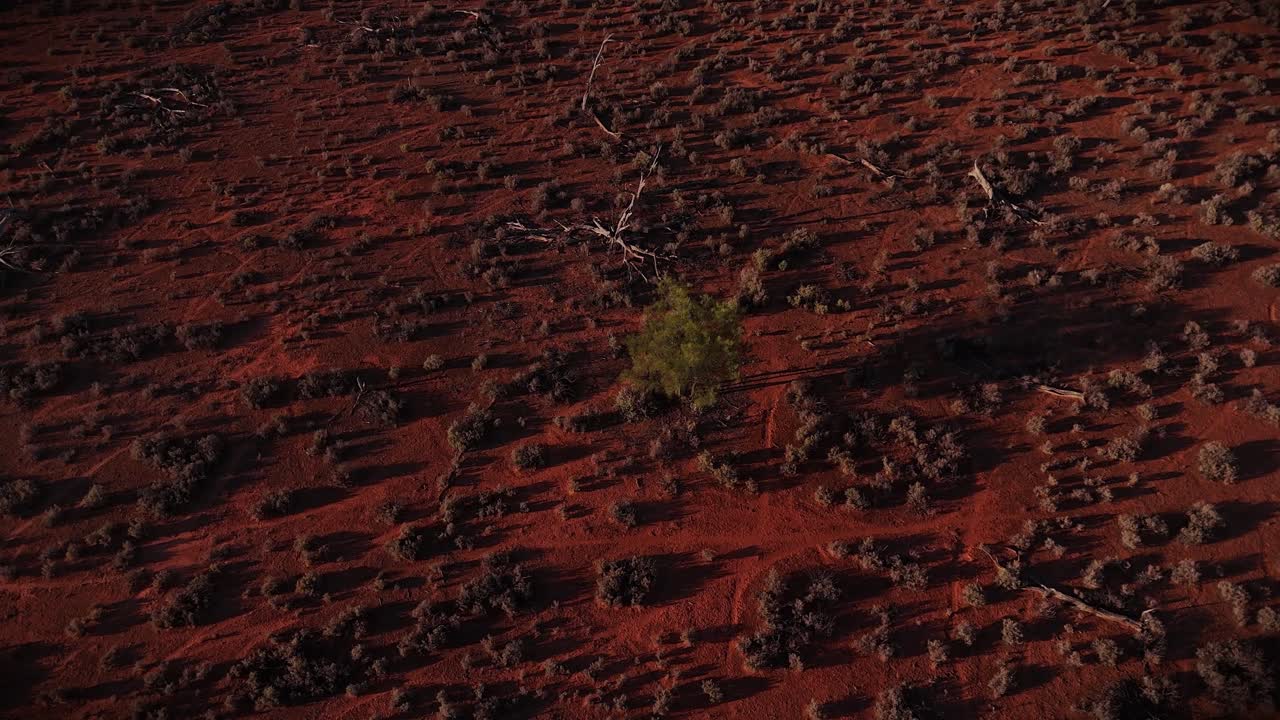 Close aerial detail of red desert ground textures and sparse vegetation in harsh Australian outback conditions, Australian wilderness