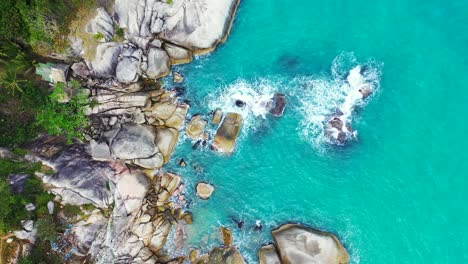 rocky coast with exotic vegetation and houses on the cliff edge