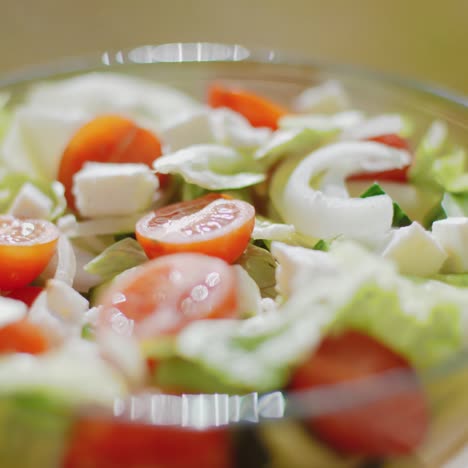 plato de ensalada verde mixta fresca