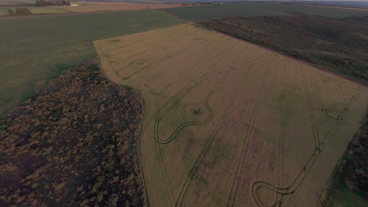 Aerial view of a soybean plantation in Goias, Brazil, during sunset, showing the vastness of the agricultural landscape and the precise lines created by harvesting machinery