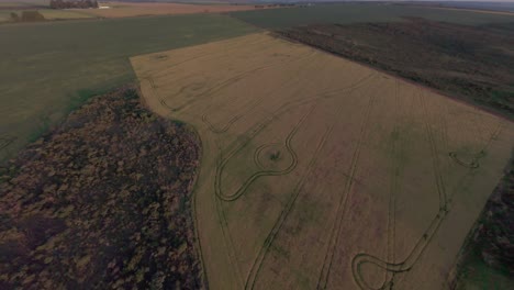 Aerial view of a soybean plantation in Goias, Brazil, during sunset, showing the vastness of the agricultural landscape and the precise lines created by harvesting machinery