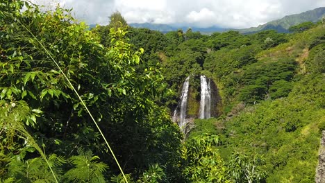 hd slow motion hawaii kauai static of 'opaeka'a falls with tall grass and trees in foreground and clouds in distance