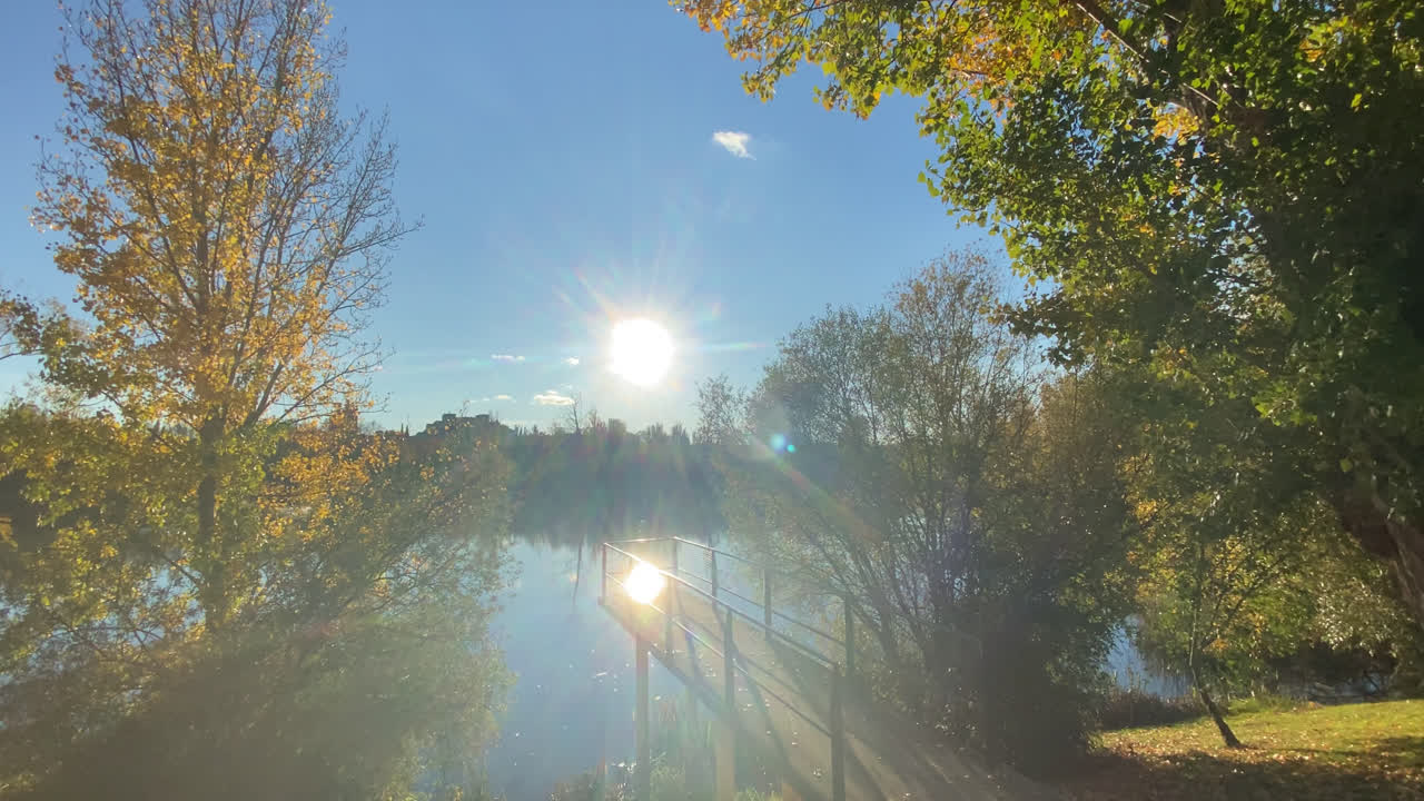Long shot of a beautiful landscape of a lake, trees and vegetation in the sunlight.