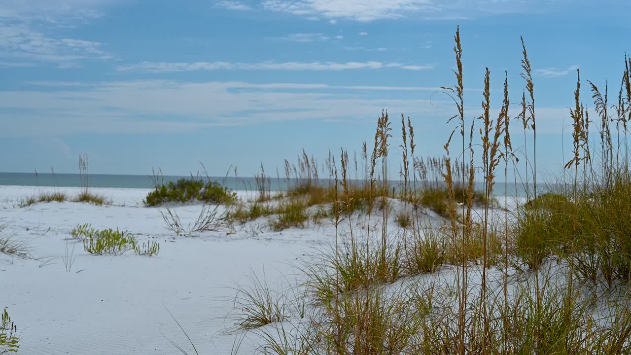 맑은 드라이브 하늘, 백사장, 맑은 에메랄드 물 펜사콜라에서 나바르 해변까지 국가 해안에 바다 귀리가 있는 모래 언덕
