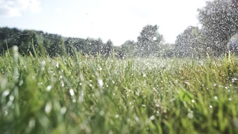 golf club hits a golf ball in a super slow motion. drops of morning dew and grass particles rise into the air after the impact.