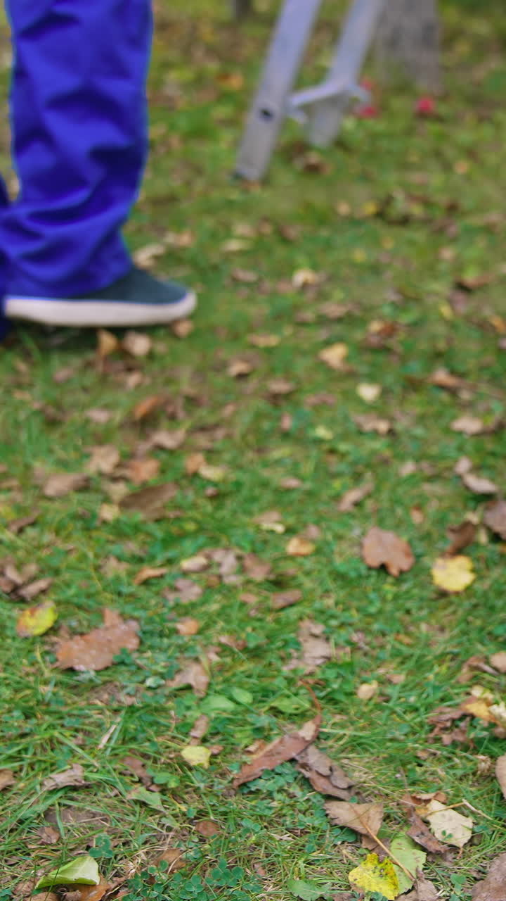 Organic fruit in drawers outdoors. Juicy apples in plastic boxes in the garden in autumn. Gardener carrying off full drawer with fresh apples. Harvesting fruits.. Vertical video