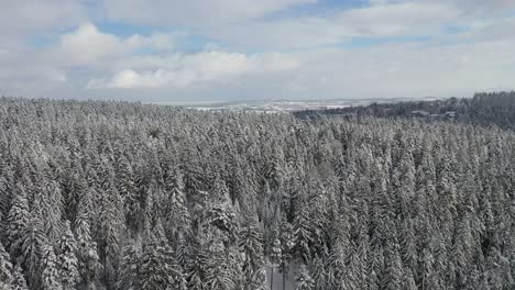 Vuelo-De-Drones-Paisaje-Nevado-En-La-Selva-Negra-Alemania