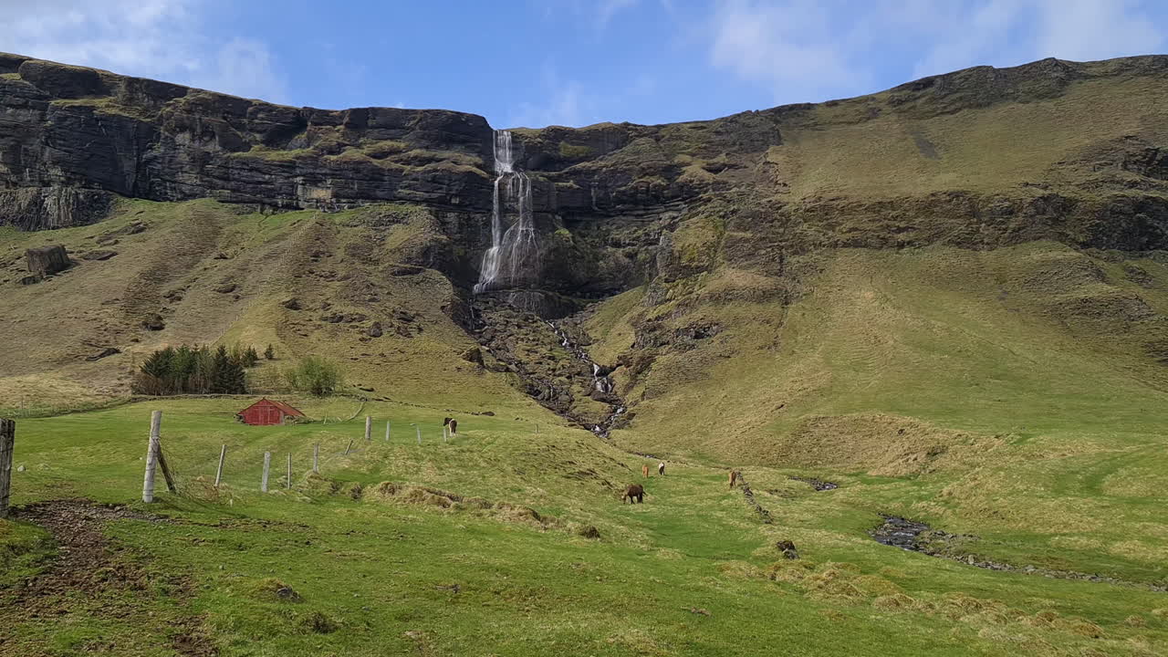 caballos pastando en el pasto bajo una cascada panorámica en el paisaje de islandia en un día soleado
