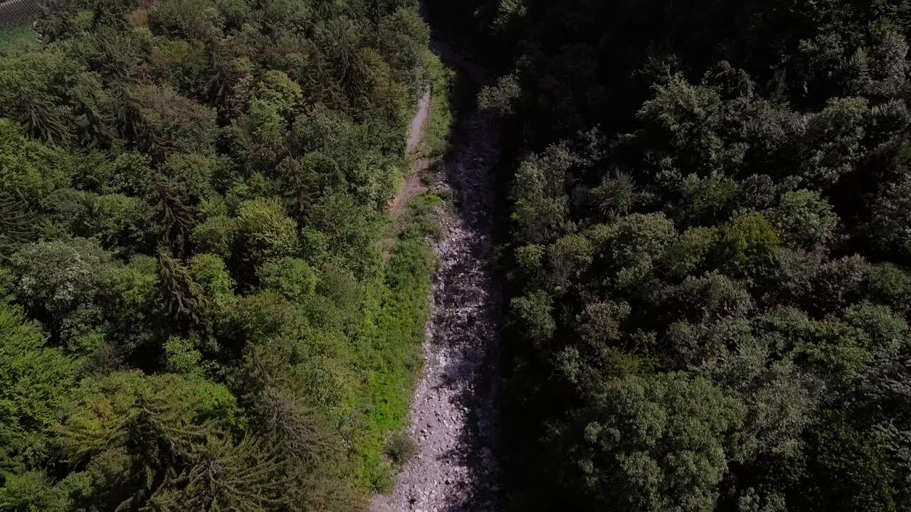 vuelo aéreo sobre un arroyo entre el bosque
