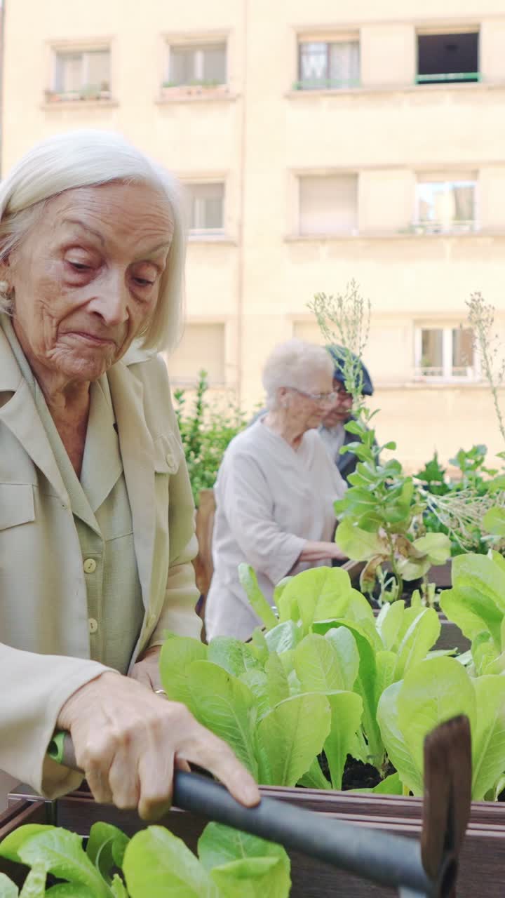 Elderly people gardening in a community garden