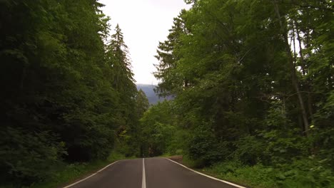 Driving-through-a-forest-on-a-winding-road-on-a-sunny-day,-Bucegi-mountains,-Romania