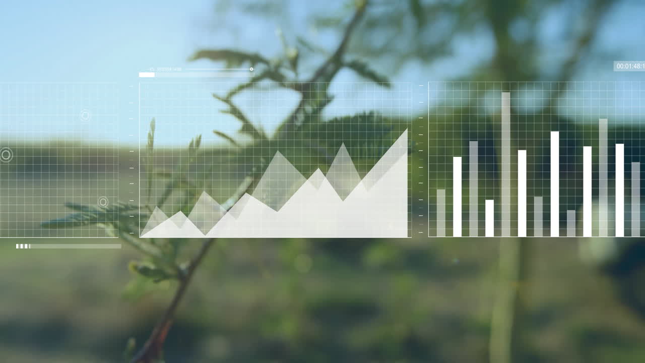 Data visualization overlay showing translucent grid with rising line and bars in flat design meadow