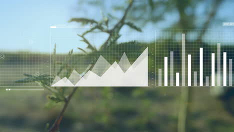 data visualization overlay showing translucent grid with rising line and bars in flat design meadow
