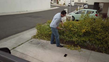 gardner trimming down the bushes e