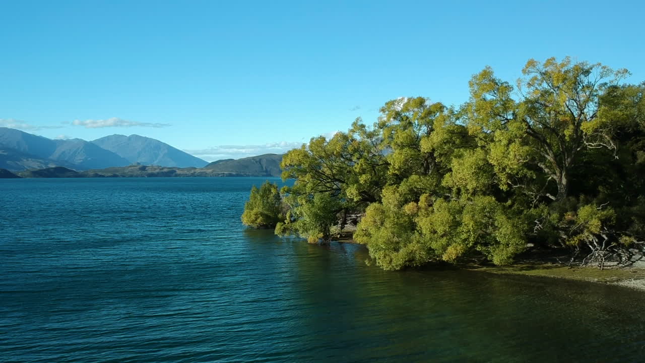 toma de pedestal: la escena comienza con patos nadando en el lago wanaka y termina con una toma amplia del lago con los alpes de nueva zelanda al fondo