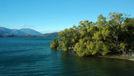 pedestal shot - the scene starts with ducks swim in lake wanaka and ends in a wide shot of the lake with the new zealand alps in the background