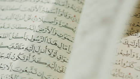 pages from the quran
