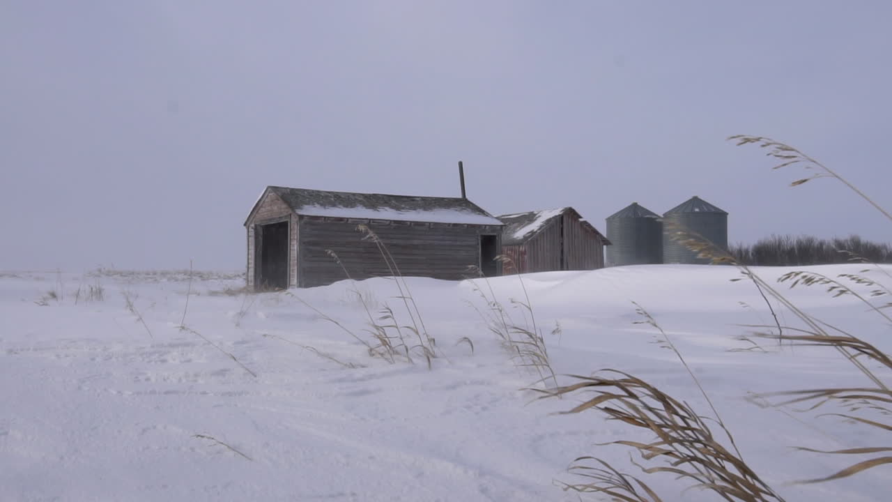 Old, abandoned, deteriorating farm sheds and grain silos in a wintery, cold and somewhat desolate landscape with snow blowing across the structures. Tall grass is waiving in the wind. Slow motion