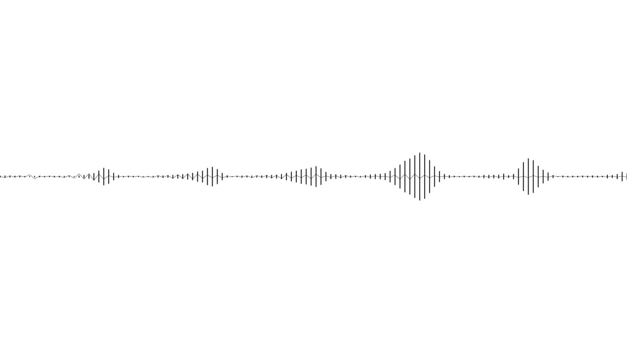 A simple black and white audio visualization effect