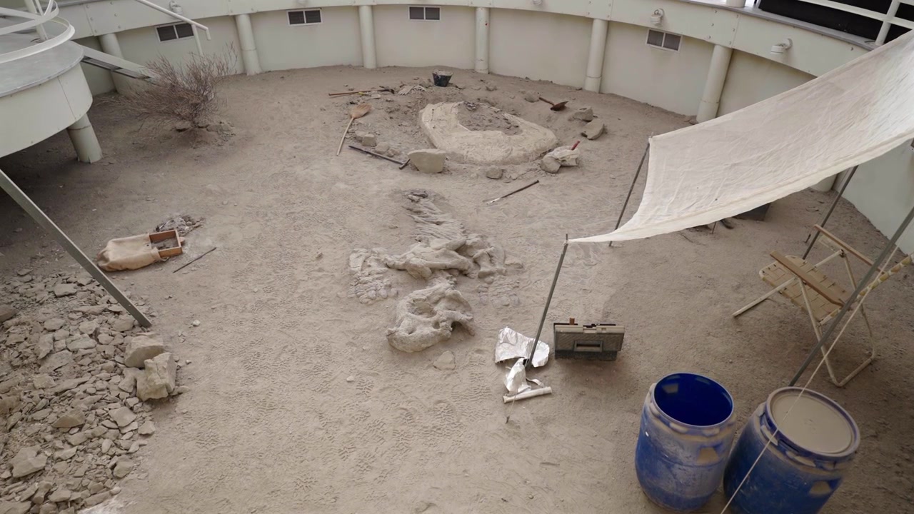 Sito di scavo attivo di fossili di dinosauro con terra, teloni protettivi e strumenti archeologici. Ripresa scorrevole a destra in slow motion, inclinata verso il basso