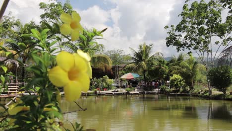 Vista-De-Un-Hermoso-Lago-Con-Una-Flor-En-Primer-Plano