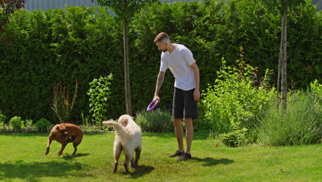 man playing with dogs in garden