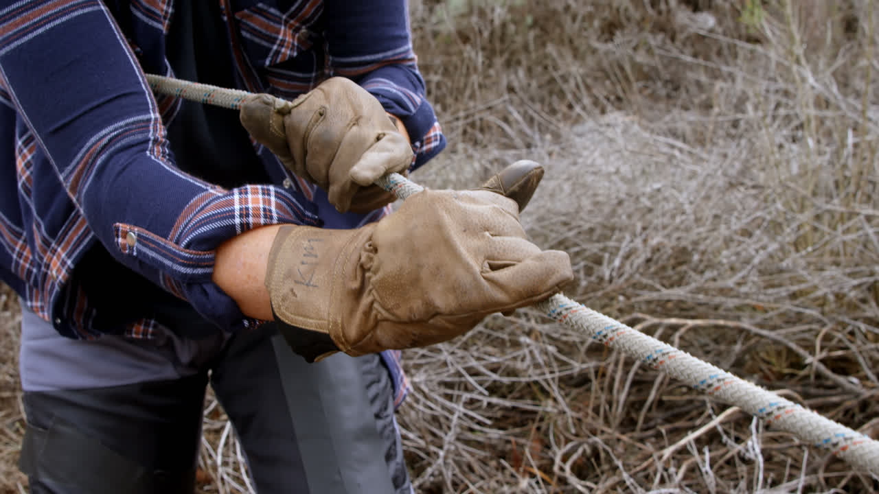 숲에서 나무 ⁇ 을 잡는  ⁇ 줄 4k