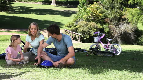 family discussing while sitting in a park