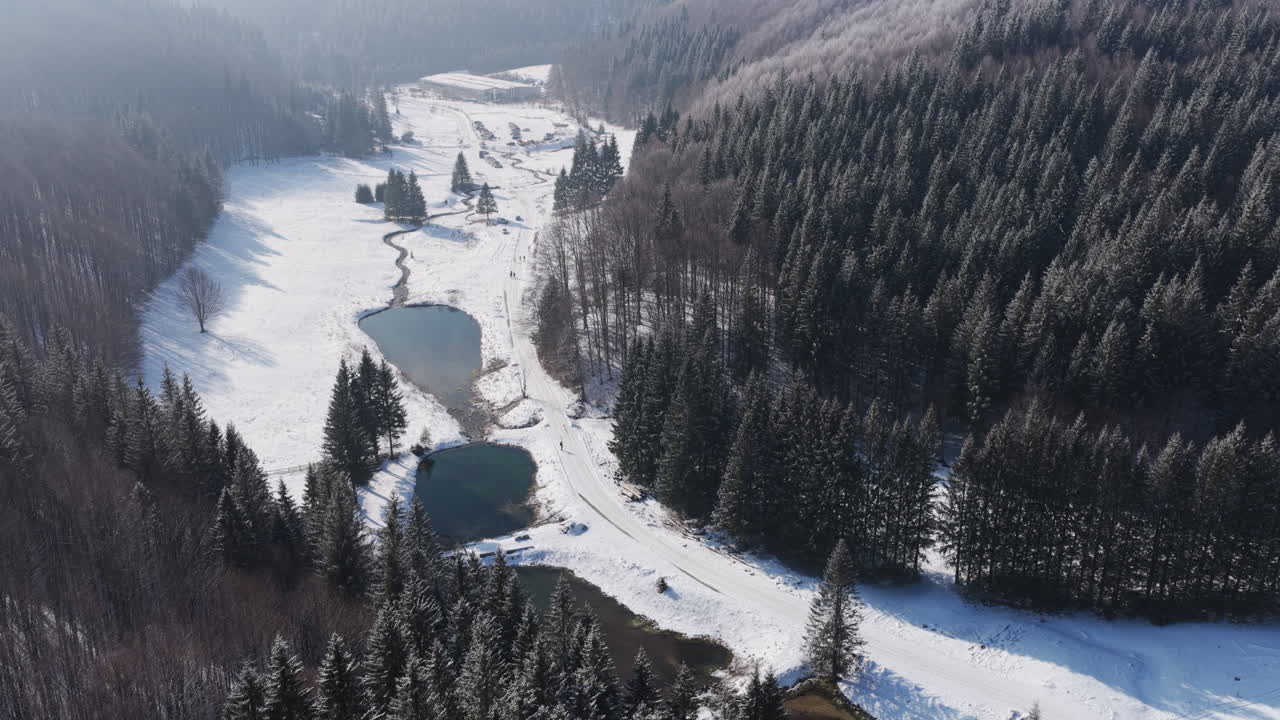 Panoramiczny widok z drona na zimę z jodłami pokrytymi śniegiem. Transylwania, góra Ciucaș w Rumunii, Karpaty