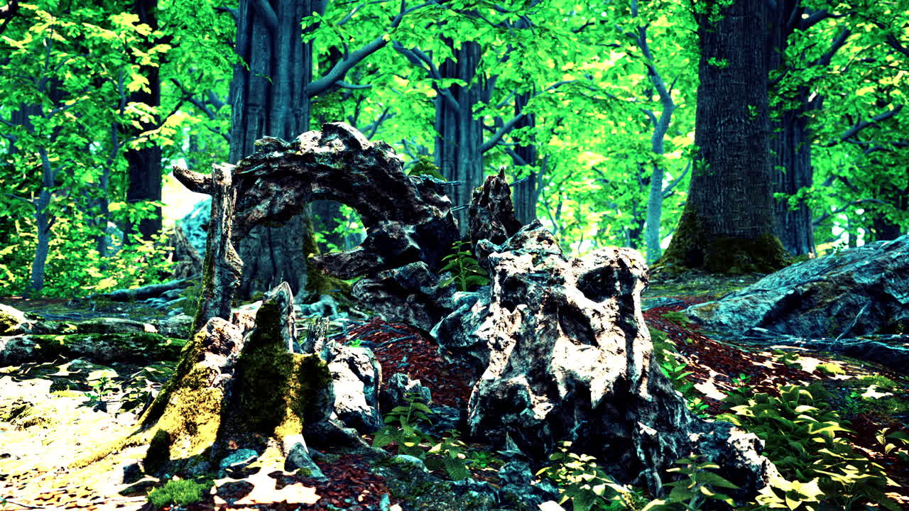 푸른 숲 풍경과 함께 태양은 잎사귀를 통해 아름다운 광선을 던진다