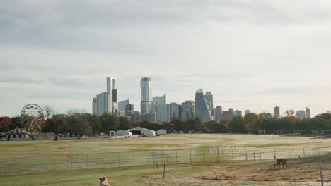 downtown austin, texas city skyline from zilker park with dogs running fetch ball in foreground