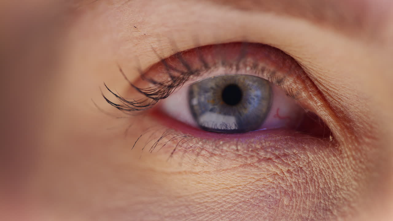 여자가 파란 눈을 열고, 파란 아이리스의 클로즈업