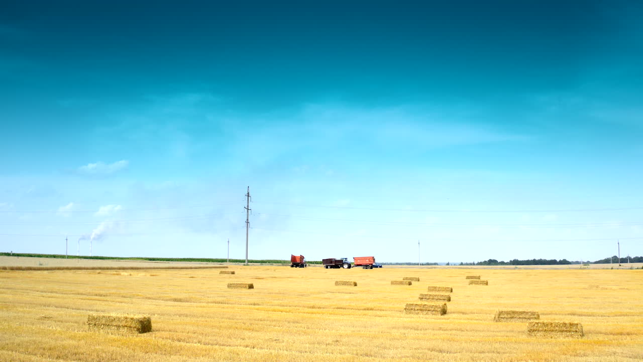 Agricultural machinery at harvesting season. Yellow field with pressed bales under blue sky. Dried bundles of straw on background of tractors and trucks working on field.