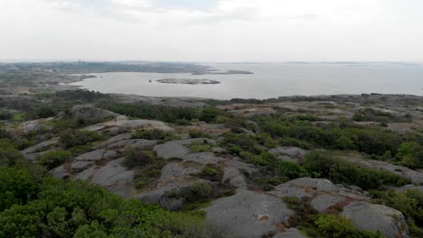 Coastline-of-Hönö-Island-covered-with-green-vibrant-bush-and-rocks,-aerial-view