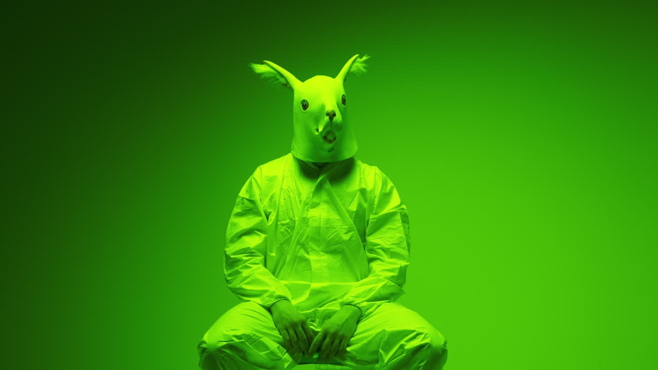 Person in Squirrel Mask and Green Suit