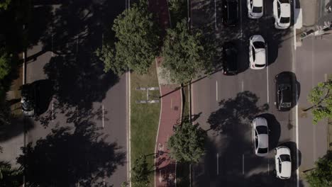 Drone-top-view-showing-a-bike-in-a-bike-lane-in-the-mide-of-a-ood-avenue-with-contrast-betwen-sunlight-area-and-shady-area