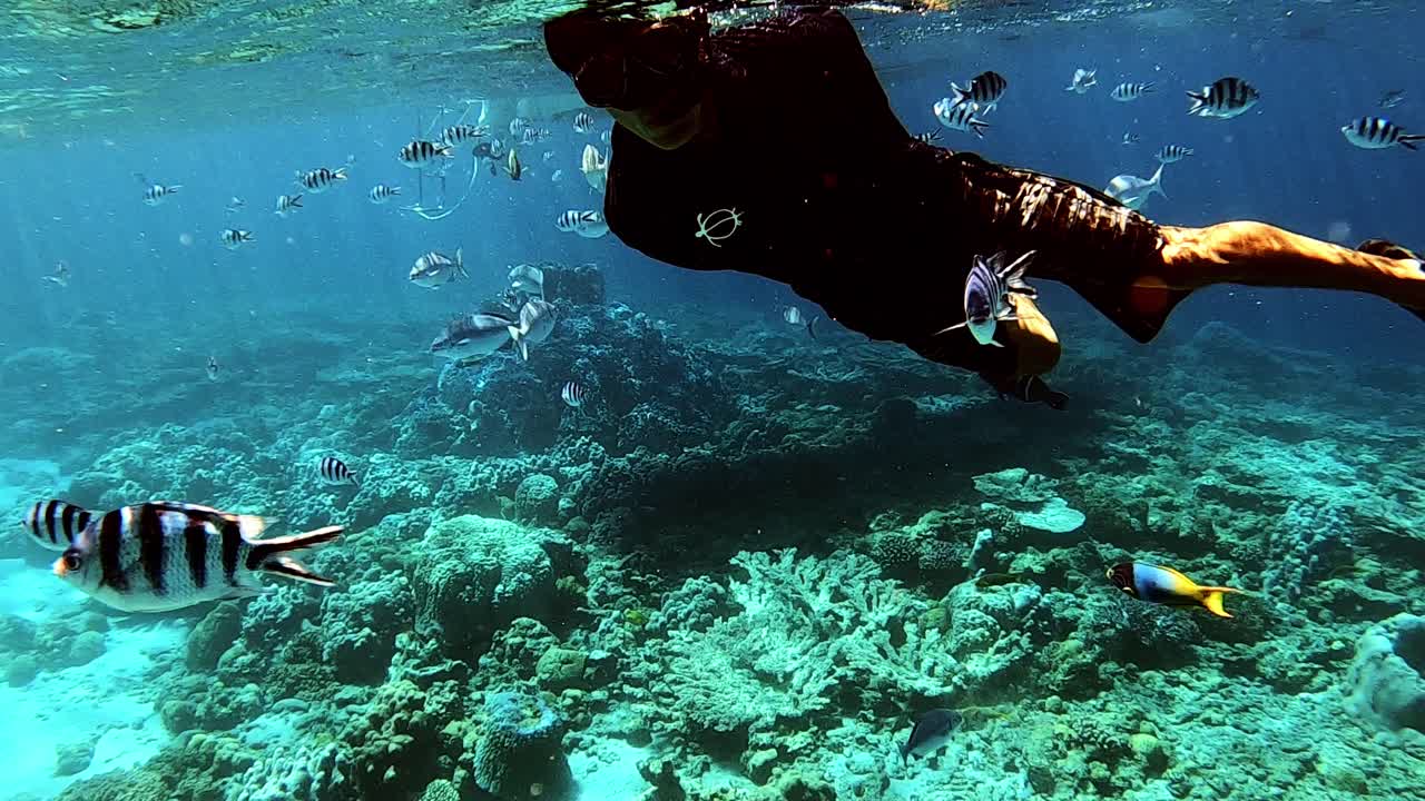 hombre buceando en el océano azul con una hermosa vida marina y arrecifes de coral bajo el agua
