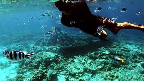 man snorkeling on the blue ocean with beautiful a marine life and coral reefs underwater