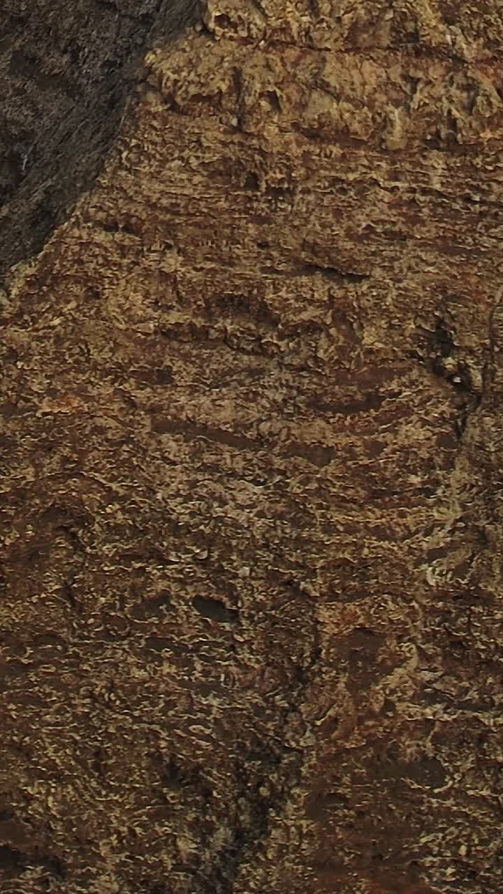 Abstract Pattern of Eroded Red Volcanic Earth