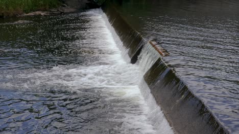 water gently flows over a concrete dam in a small stream