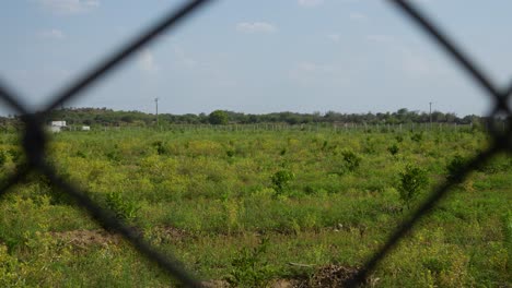 granjas agrícolas en punjab, pakistán - granja agrícola desde la valla